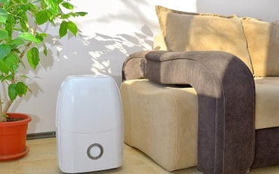 4 Tips to Improve Indoor Air Quality