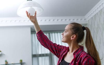 Spring Home Improvement Projects to Enhance Your Home