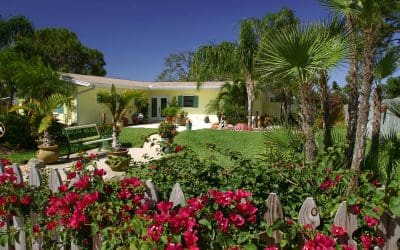 5 Summer Landscaping Tips for Homeowners