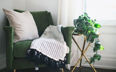 7 Easy Houseplants to Keep Alive (No Green Thumb Needed)