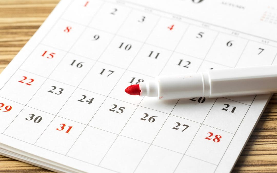 Stay Ahead of Repairs: The Ultimate Home Maintenance Schedule